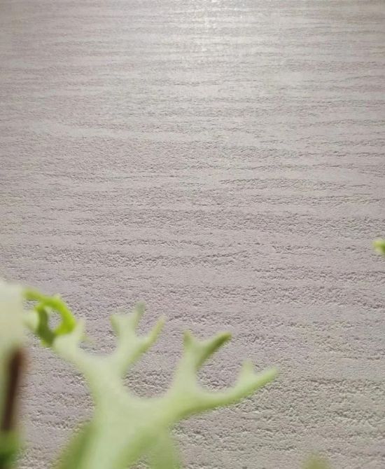 長(zhǎng)沙米卡蘭裝飾材料有限公司,湖南裝飾材料,外墻裝飾裝修,長(zhǎng)沙藝術(shù)涂料,長(zhǎng)沙墻藝材料 長(zhǎng)沙米卡蘭裝飾材料有限公司,湖南裝飾材料,外墻裝飾裝修,長(zhǎng)沙藝術(shù)涂料,長(zhǎng)沙墻藝材料